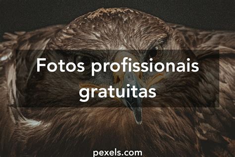 fotos de picas de homens|40.000+ melhores imagens de Pênis Grande · Download 100.